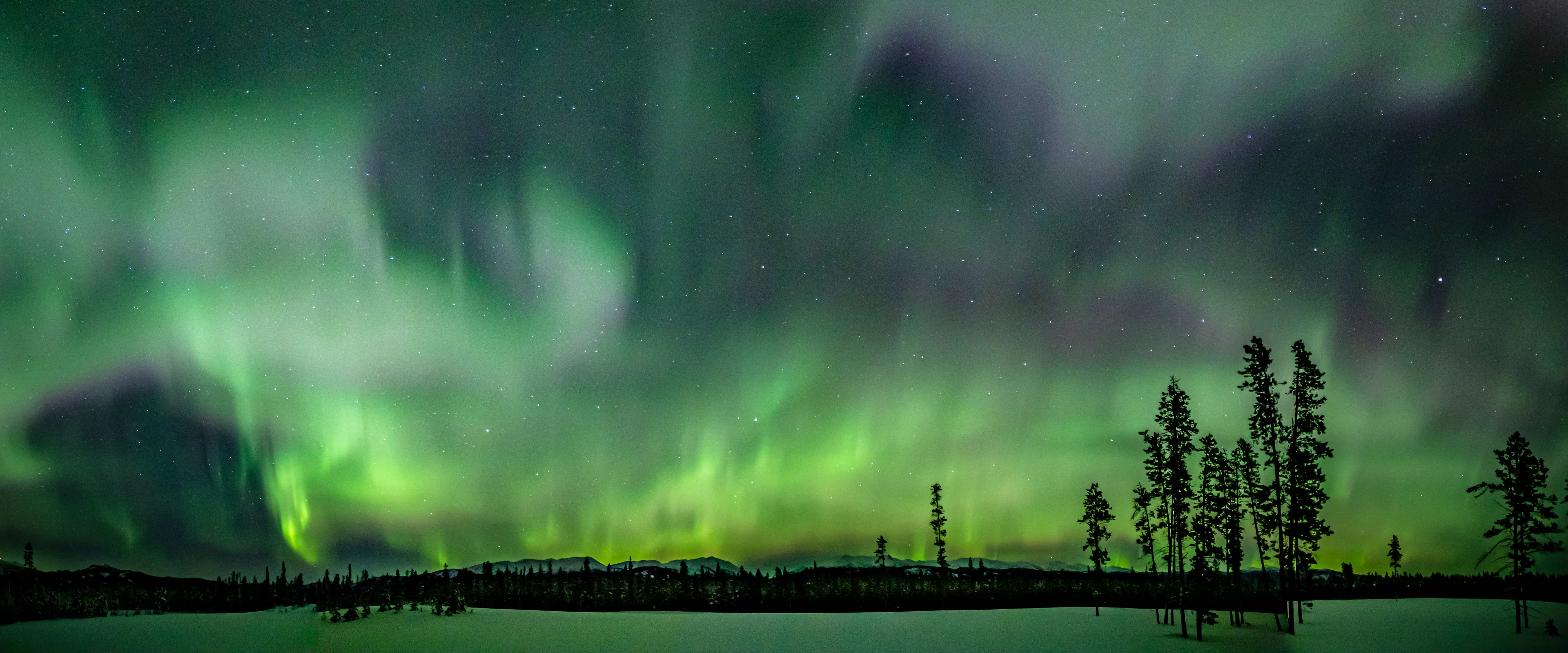 The Northern Lights