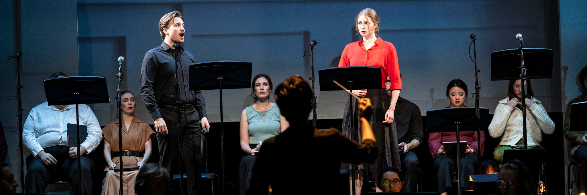 Interplay Opera Workshop Banner