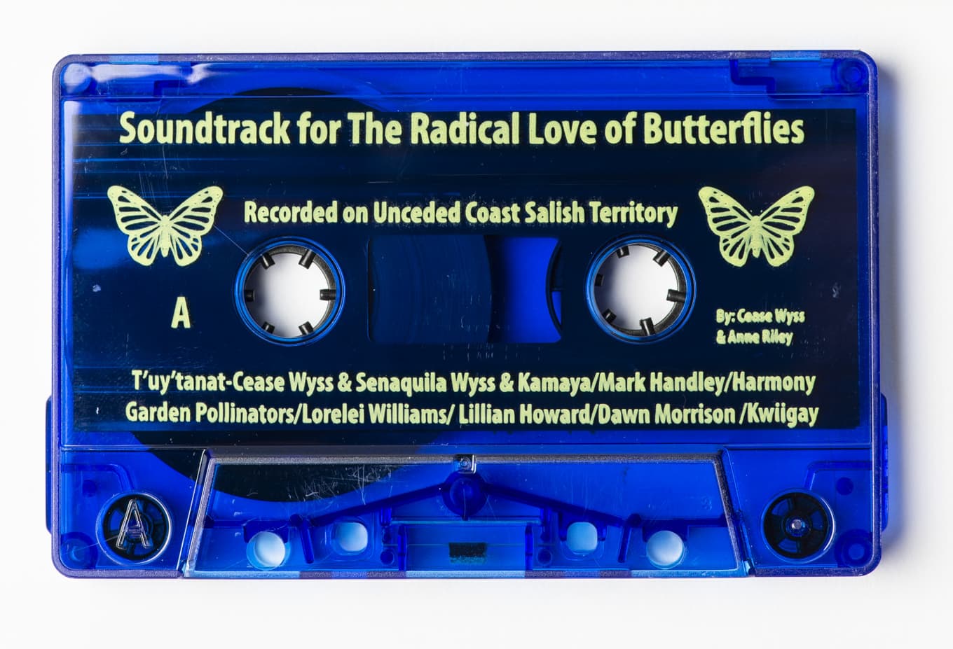 T’uy’t’tanat-Cease Wyss and Anne Riley, Soundtrack for the Radical Love of Butterflies, 2018. 