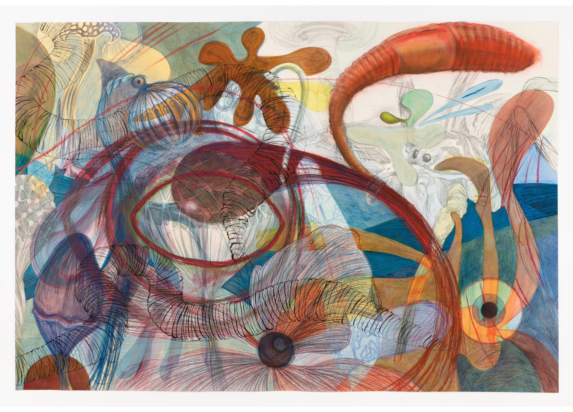 Wolfworm, artwork by Sarah Davidson. Watercolour, ink, pencil crayon, gouache, pencil and pastel on paper, 33 x 49in. 20