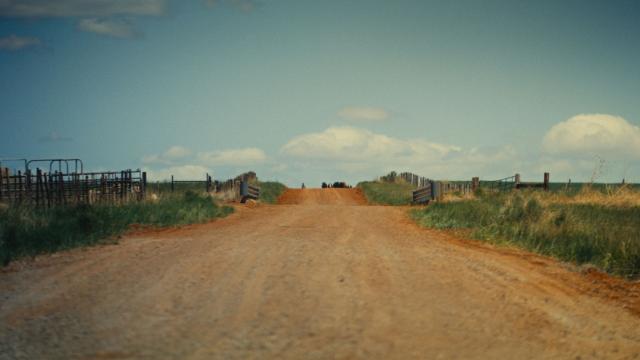 From the film A Brutal, Beautiful Life