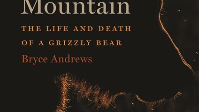 Down From The Mountain by Bryce Andrews