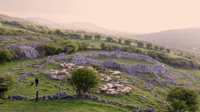 Image from the film The Silver Branch