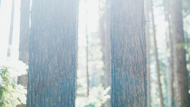 Jess Kimura © image from the film Learning to Drown