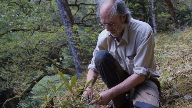 Image from the film Pushed up the Mountain