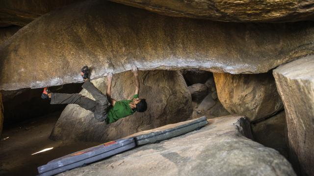 From the film The Kingline Project