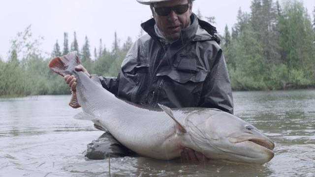 A fisherman is holding a giant fish while standing in the water