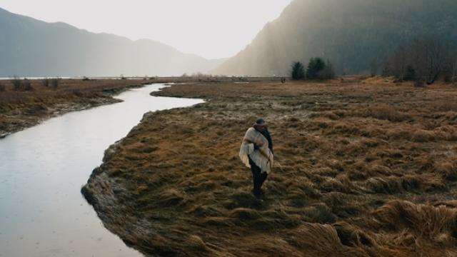 From the film Walking with Plants