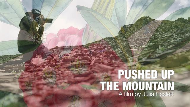 Pushed up the Mountain