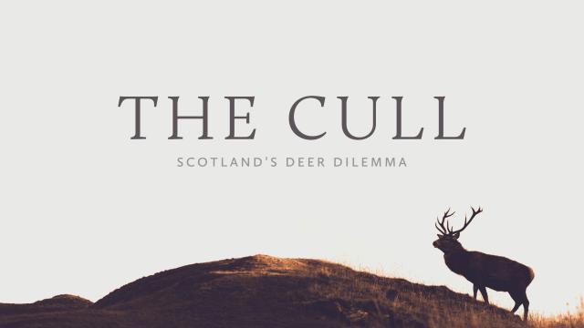 The Cull