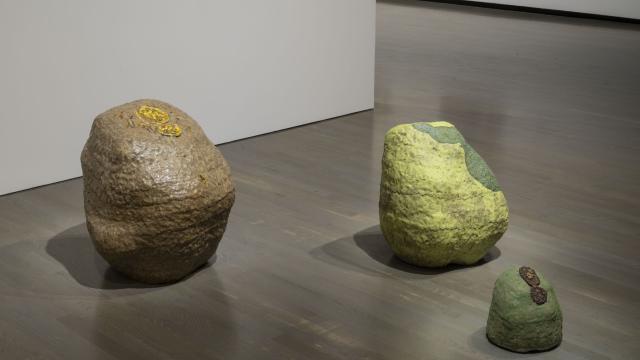 Installation view of Elliptical Lineages, Walter Phillips Gallery, Banff Centre for Arts and Creativity, 2025. From left to right: Gailan Ngan, Shore Pine Ash Rush, 2025; Chrome Spill, 2025; and Lichen Dots, 2025, all courtesy of the artist. Photo: Rita Taylor.