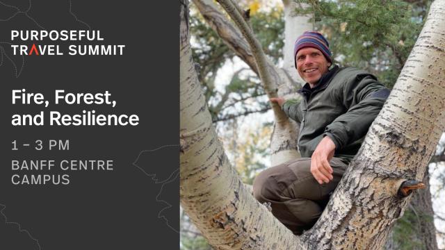 Image of Dave Verhulst for the Fire, Forests and Resilience
