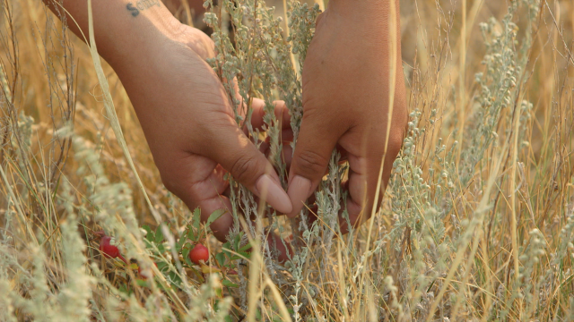 Richelle Bear Hat, film still from “In Her Care” (2017). Commissioned by Walter Phillips Gallery, Banff Centre for Arts 