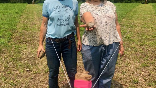 Image of the artists Deirdre Logue and Allyson Mitchell