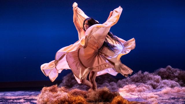 A dancer performs on stage
