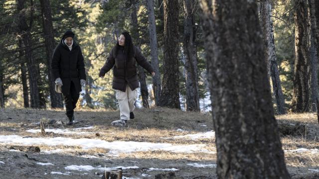 Two people are walking through the woods while having a conversation