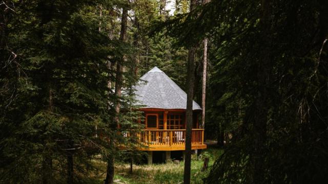 Wooden studio in the forest
