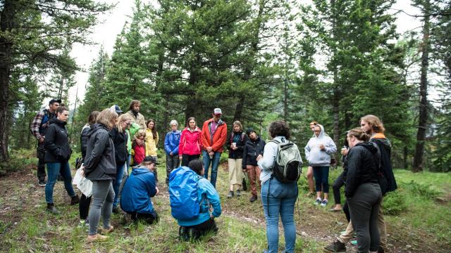 Group in a circle talking in the woods i
