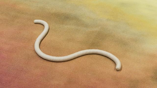 Julia Crabtree and William Evans, Detail of “Gulch” (2016)