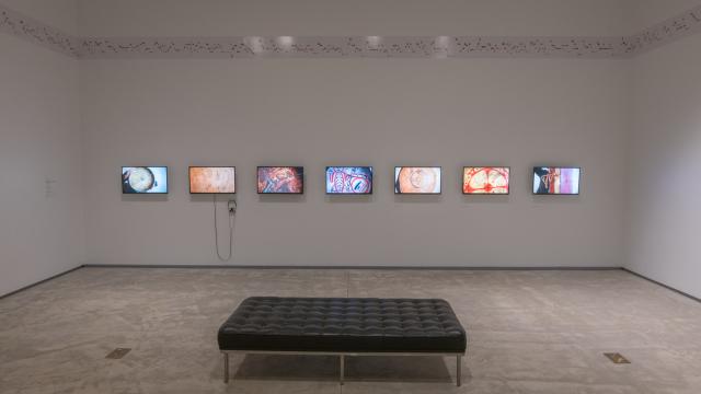 'Soundings', installation view, Agnes Etherington Arts Centre at Queens University, Kingston,Canada. Photo by Paul Lithe