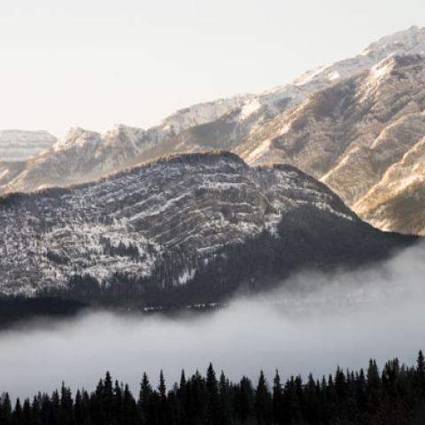 snowy mountain with mist in foreground